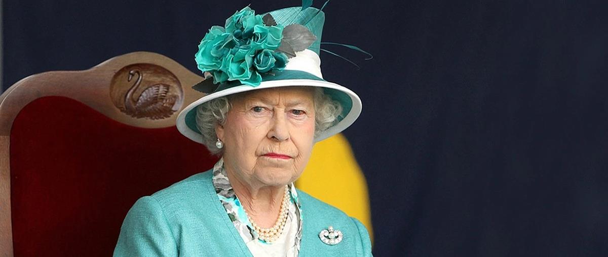 4319016283889502 cats