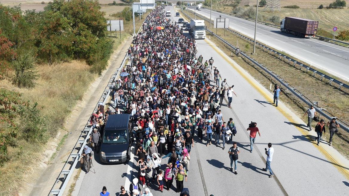 4322991212106123 image