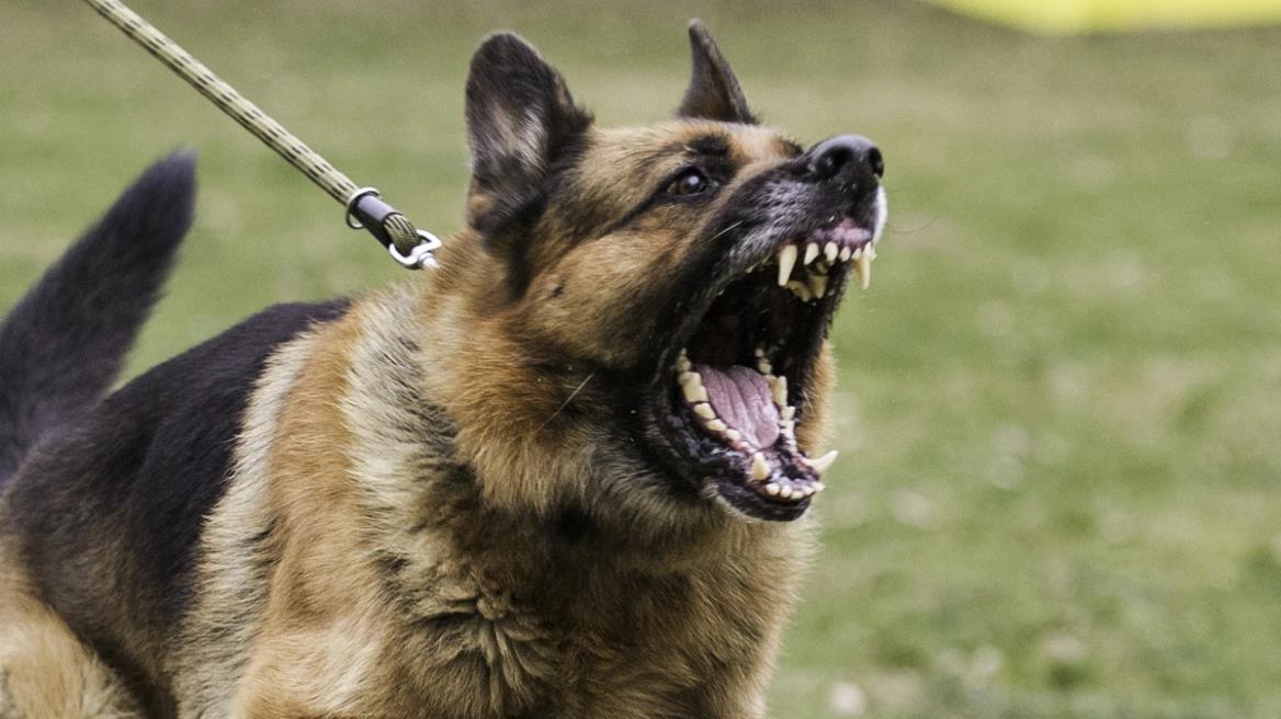 4323789661896823 image