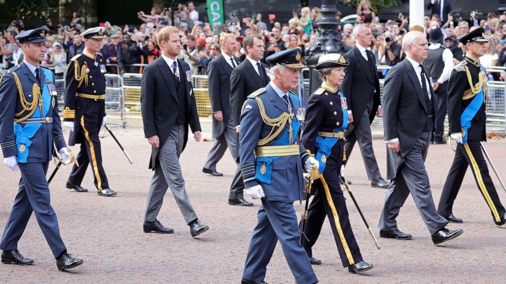 4324134755758847 image