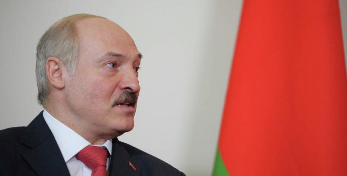 4324178700395447 image