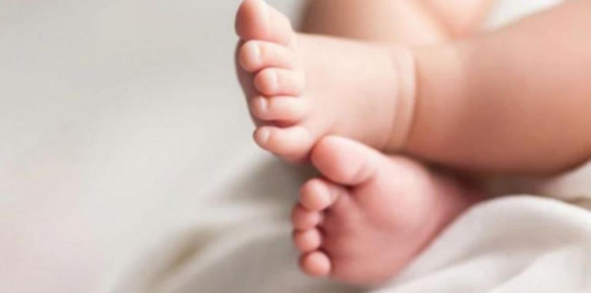 4325847416817488 560