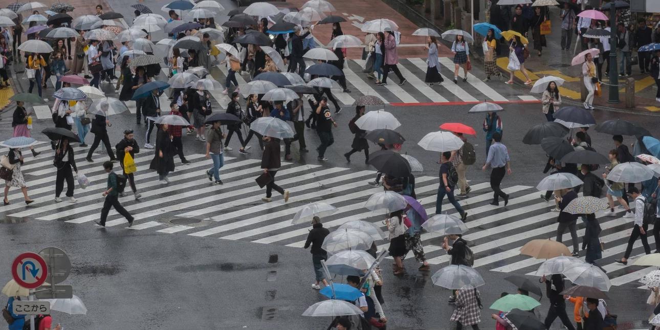 4327456438599380 image