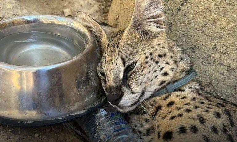 4327489280149808 image