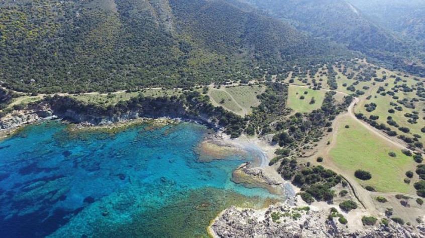 4327539926005153 cache 846x3000 Analog medium 1001748 87714 1292022