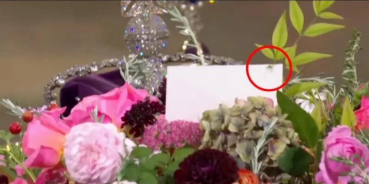 4328457338593975 image