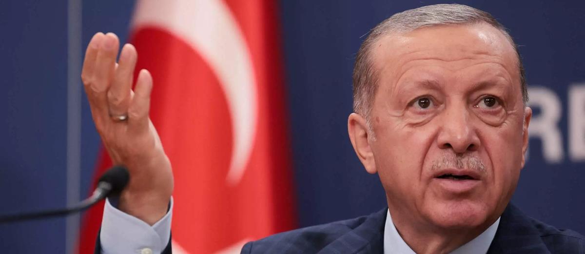 4329136799021849 333