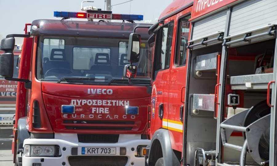 4330661609281216 image