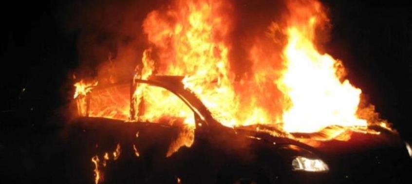 4330683112503850 image