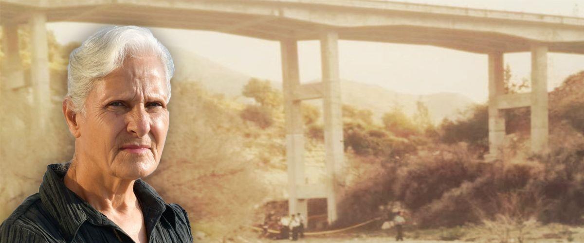 4330828675176947 image