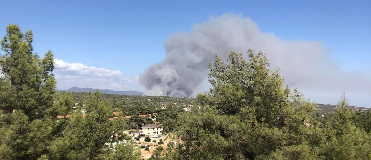 4331790226659271 308210935 10159057903355910 3776358758893997603 n