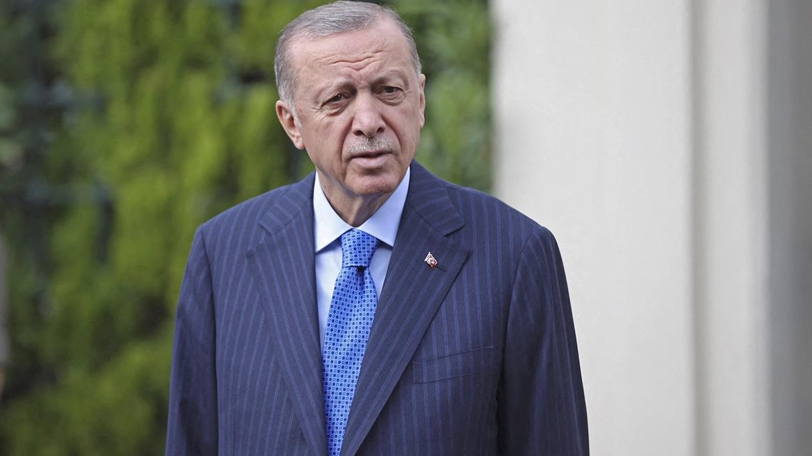 4331817798875477 image