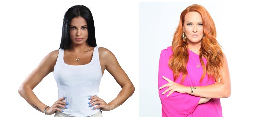 4334142721555374 Untitled