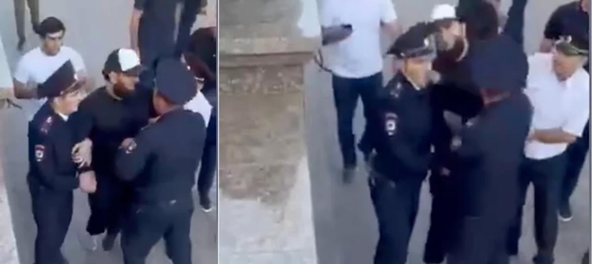 4334163282212819 536