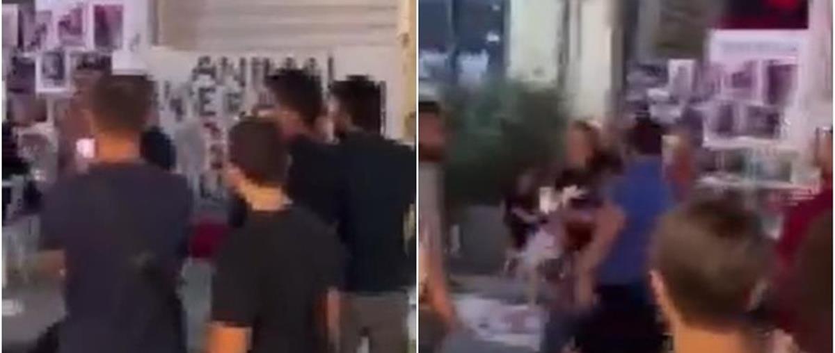 4334409674076523 cats