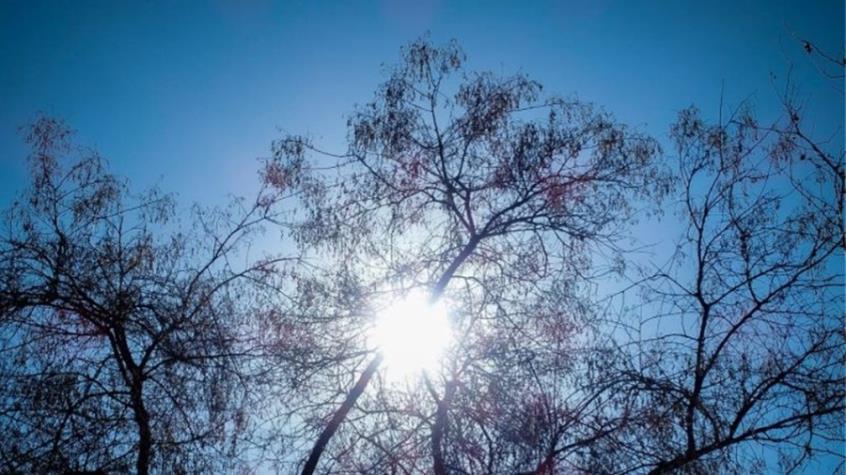 4334952305384809 cache 846x3000 Analog medium 994750 213414 2782022