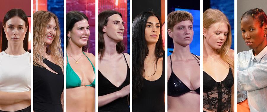 4335841034345113 image