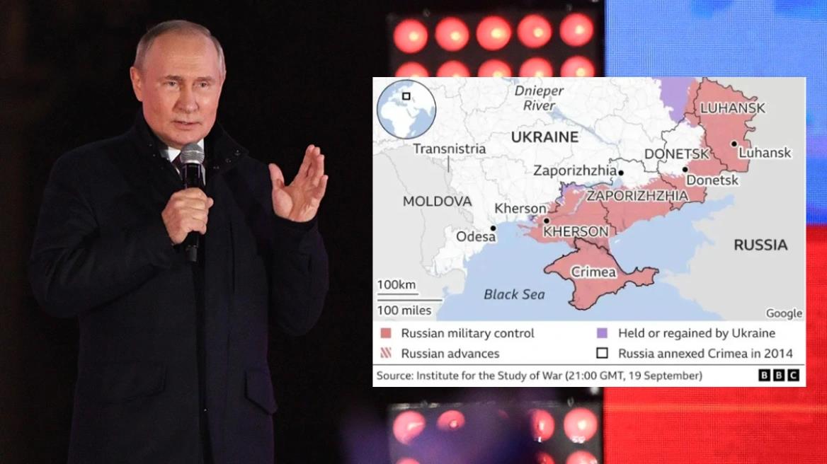 4338402047835084 image