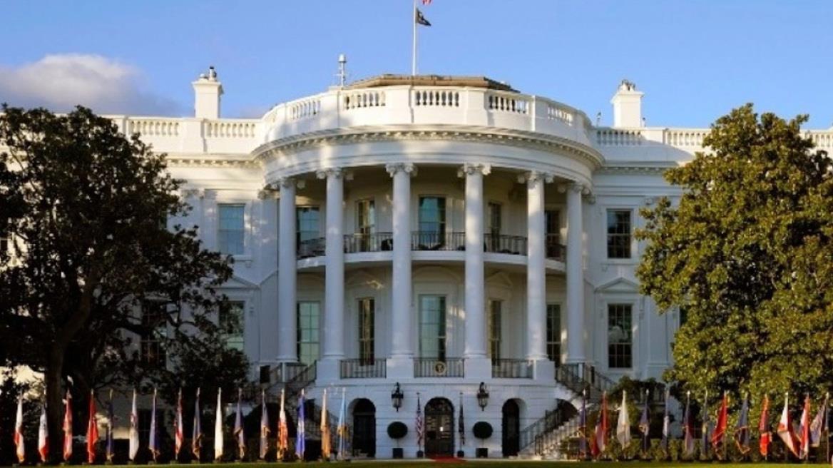 4338463286332248 image