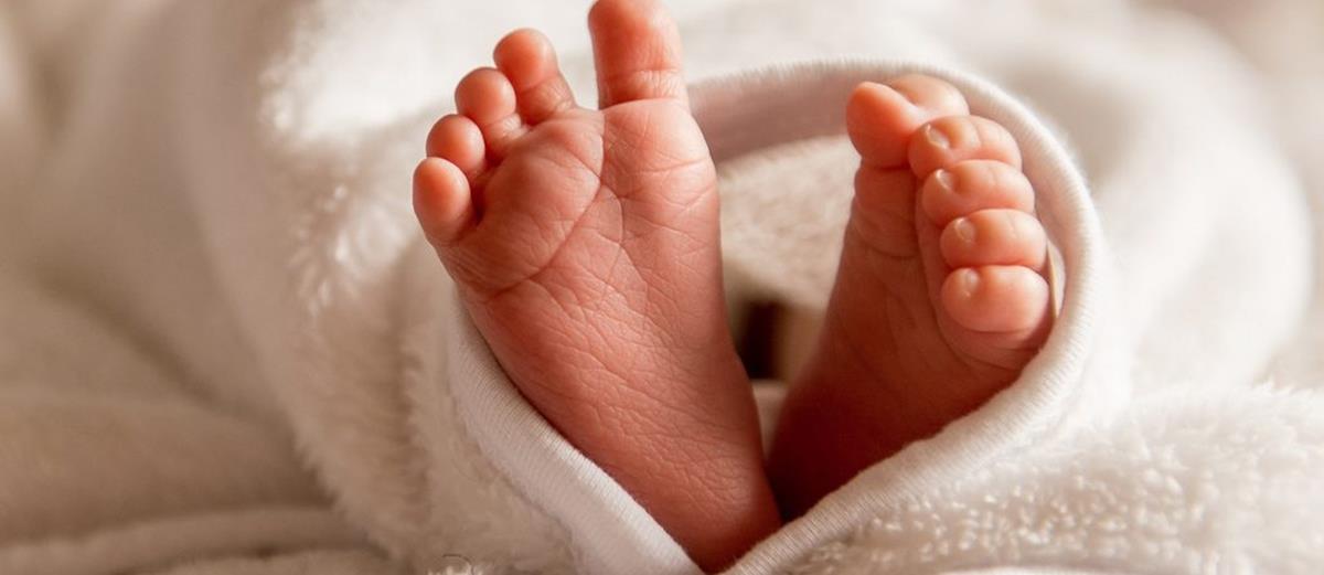 4338646749118394 image-1024x576