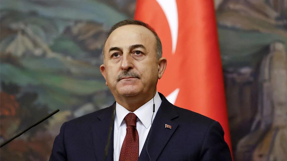 4338656627454897 image