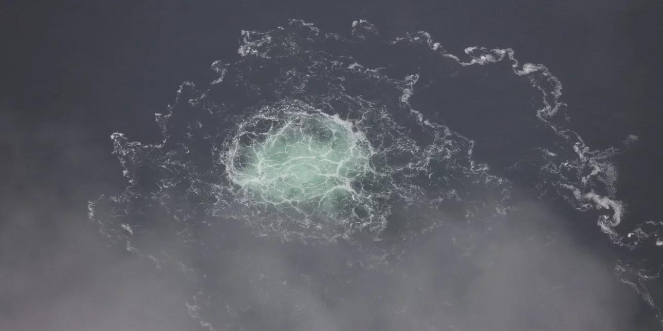 4339274314710658 image