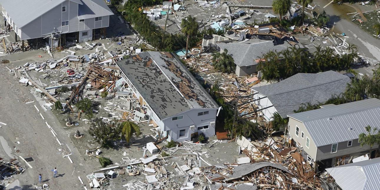 4339315683160568 image