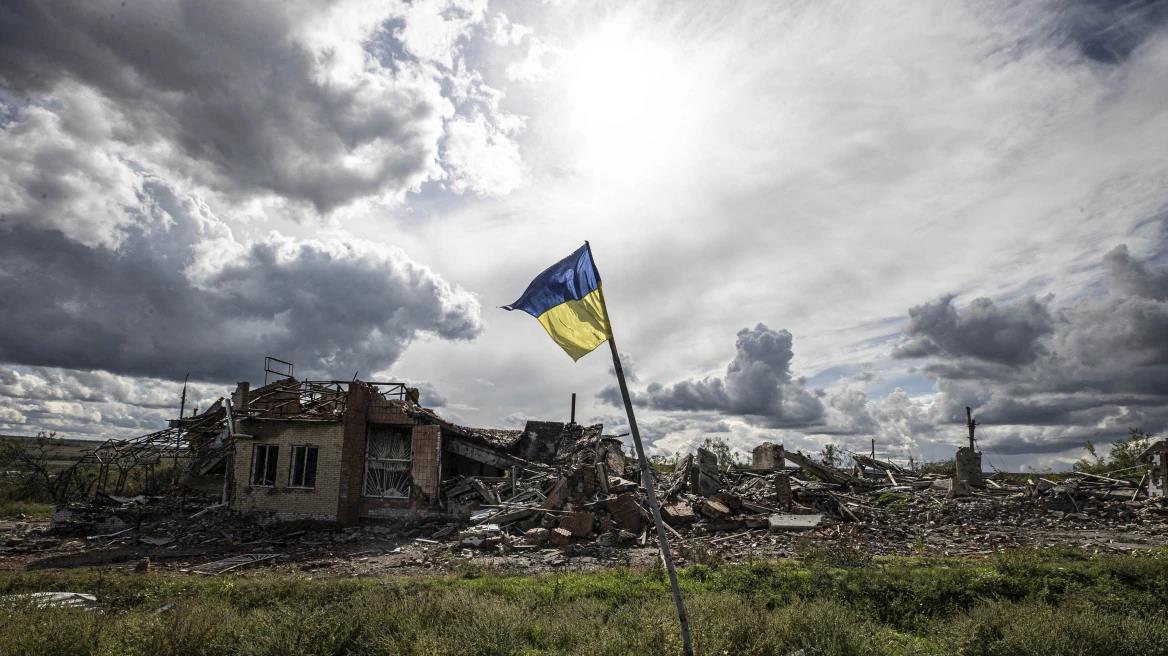 4339343794035531 image