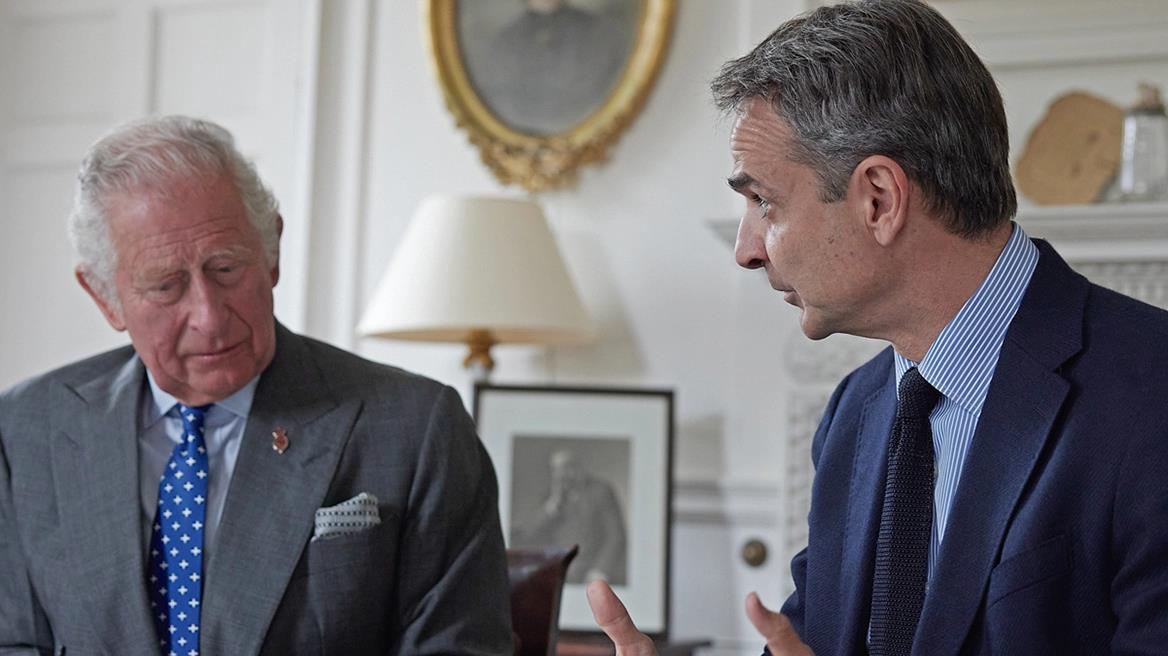 4339424677018768 image