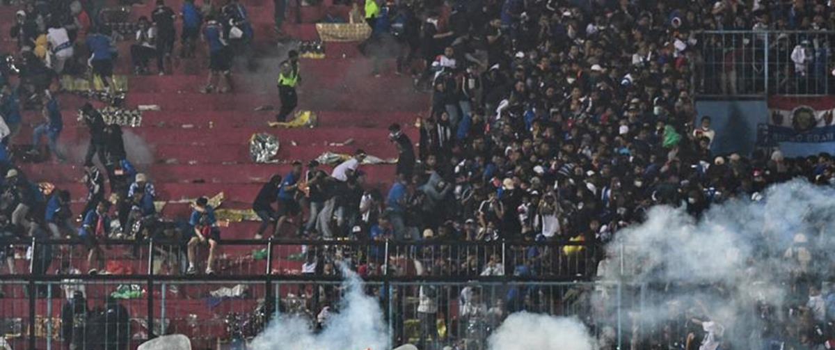 4339455739528893 cache 846x3000 Analog medium 571293 1297066 2102022