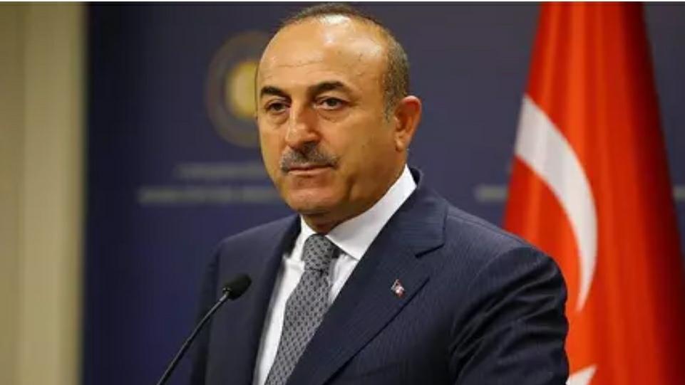 4340452953667482 image