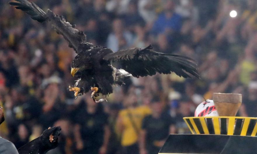 4340624780344089 image