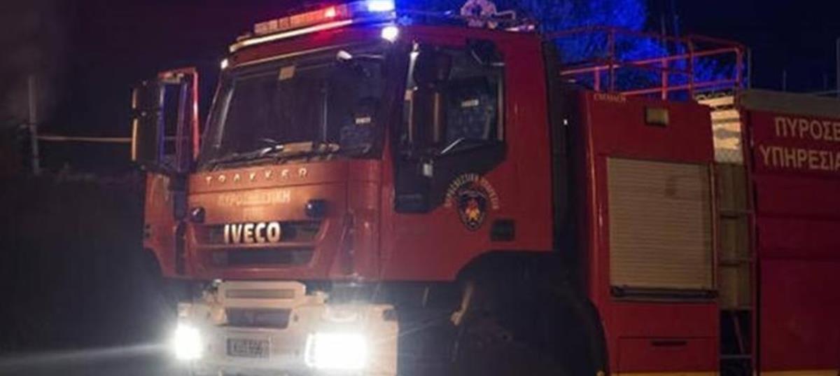 4341016510267368 pirosvestiki 1