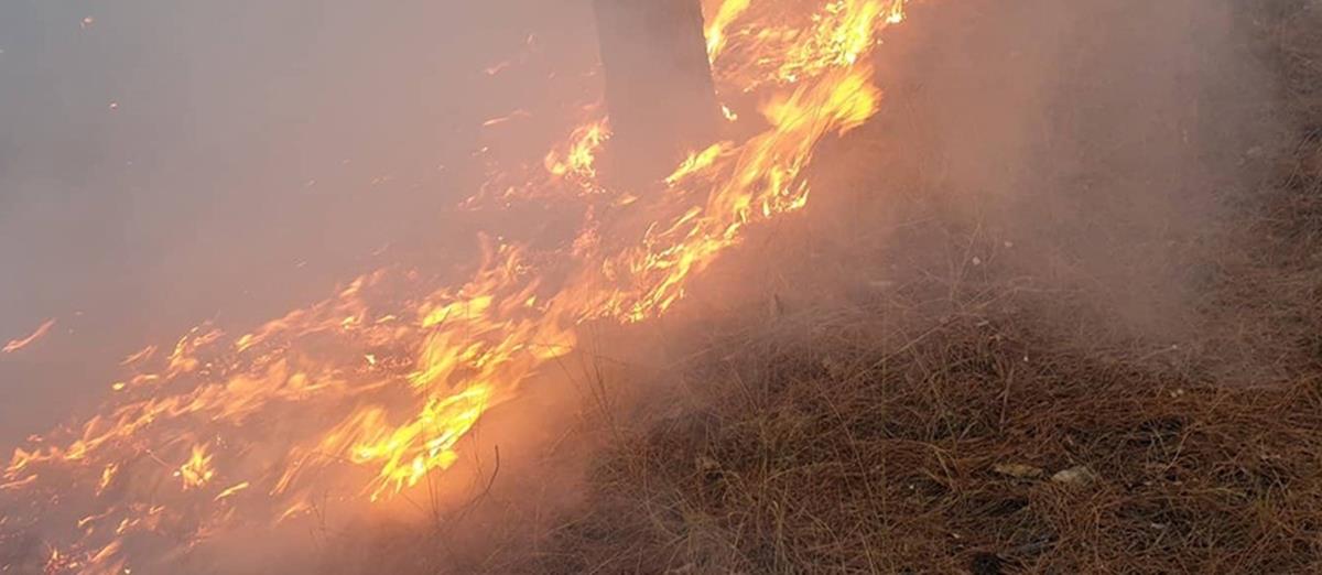 4342101542086453 fotia pisto rodoip