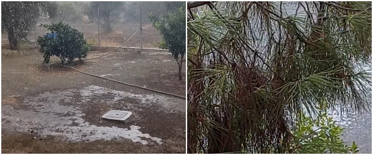 4342165351603136 page