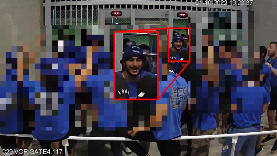 4342175685756891 image