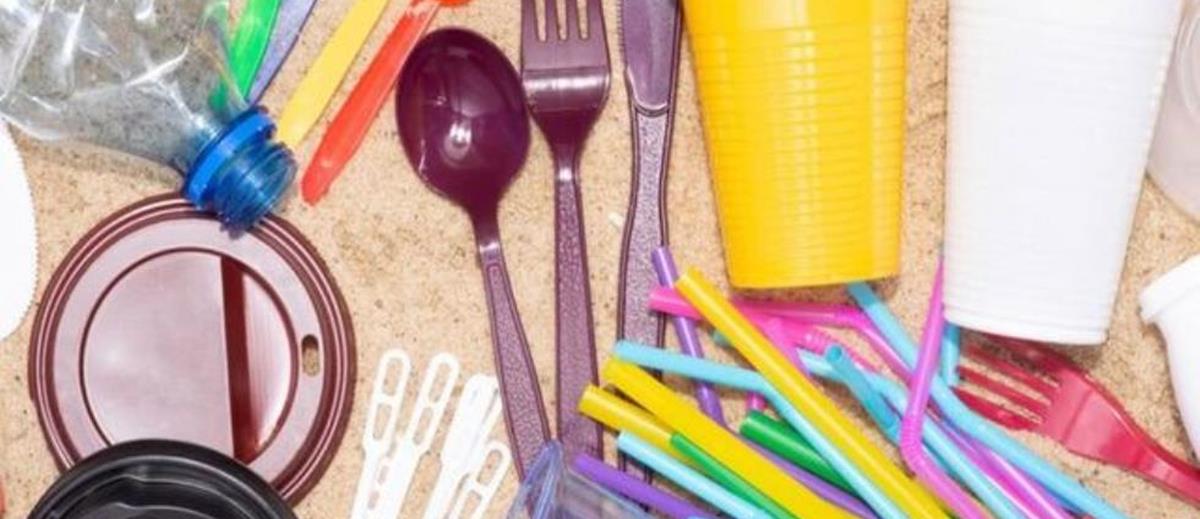 4343910319486526 cache 980x637 Crop medium 378129 130826 22 06 12 161538