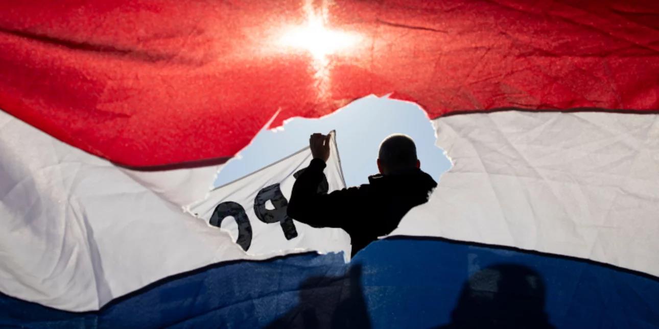 4344029449628984 image