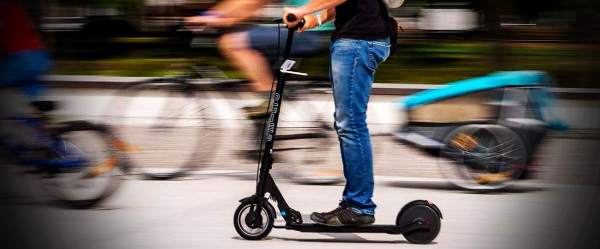 4344070527666217 image