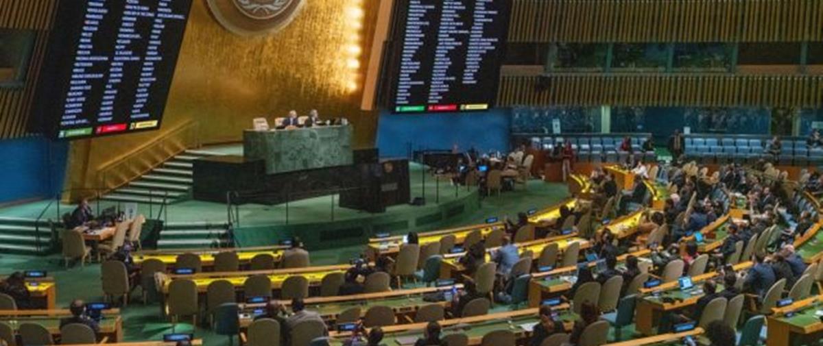 4348768066637957 general-assembly-un