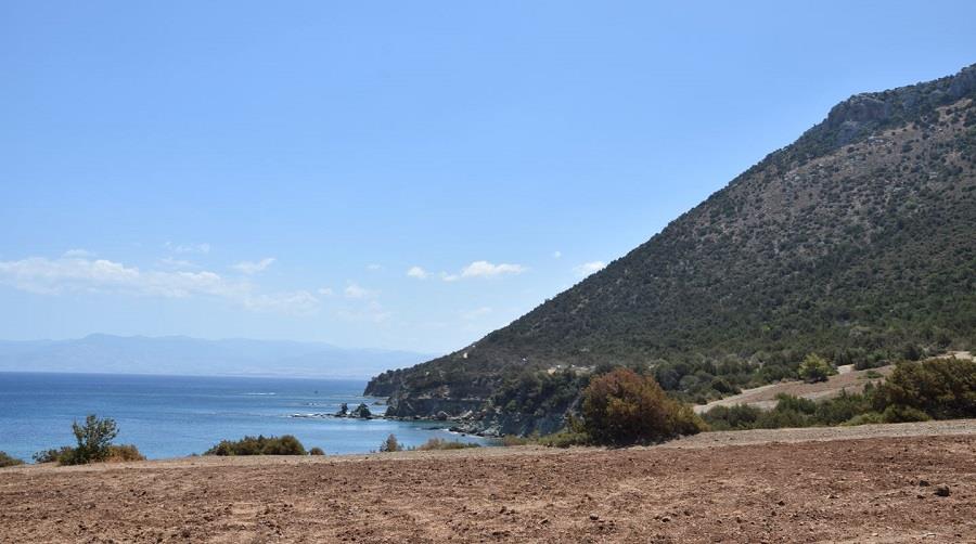 4349076267820215 ακαμας