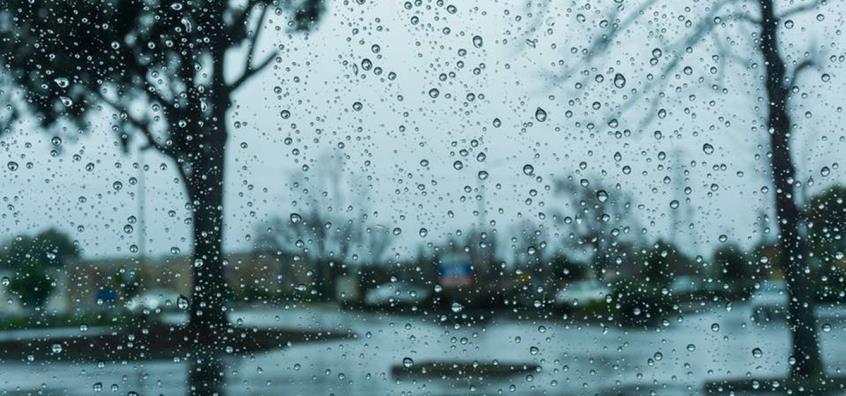 4351910874237172 cache 846x3000 Analog medium 915827 505721 922022