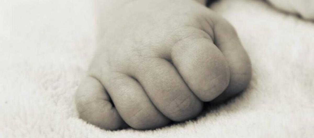 4353208943337462 22536