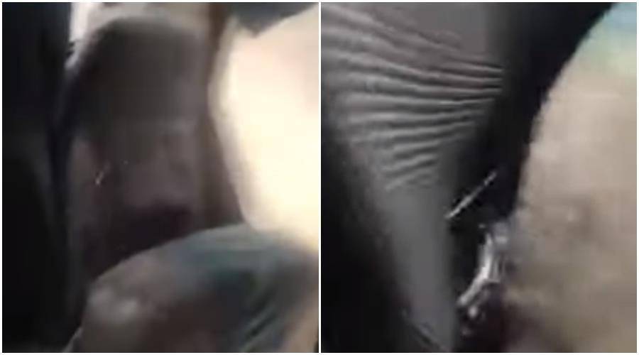 4353250905774041 page