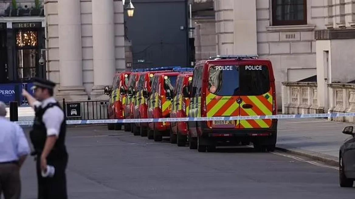 4353371147696664 image