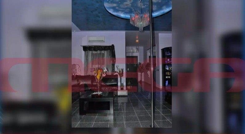 4353448478606204 image