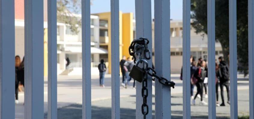 4353995208802572 image