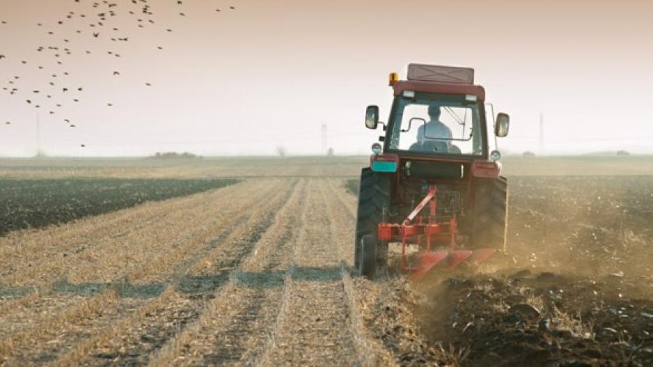 4359557170943538 image