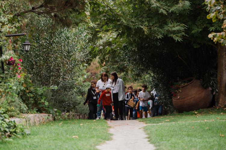 4360183706881886  MDZ0785 2048px