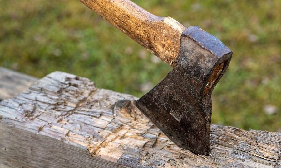 4362039425441529 tsekoyri